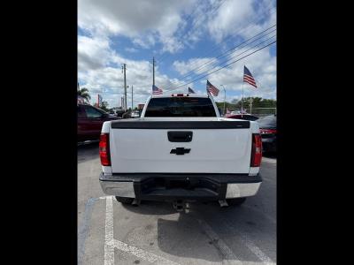 2010 Chevrolet Silverado 1500 in Princeton, FL