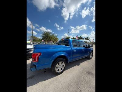 2015 FORD F-150 in Princeton, FL