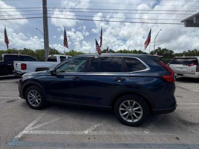 2023 HONDA CR-V in Princeton, FL